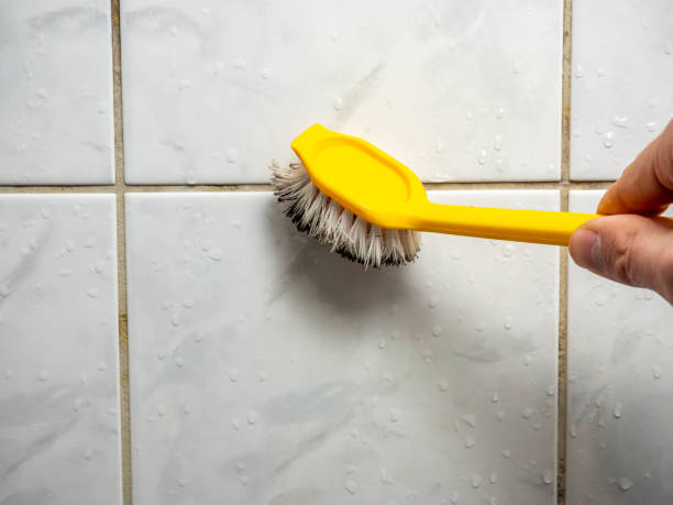 Best Local Mold Removal Service  in Rtez, CO